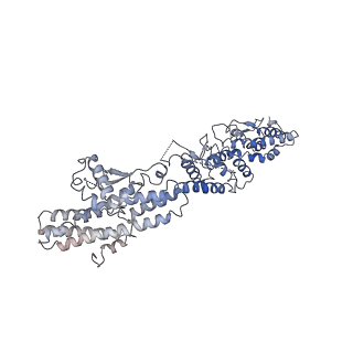 21073_6v6s_G_v1-1
Structure of the native human gamma-tubulin ring complex