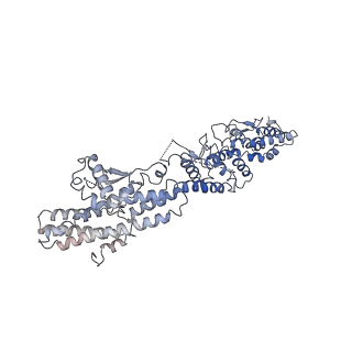 21073_6v6s_G_v1-2
Structure of the native human gamma-tubulin ring complex