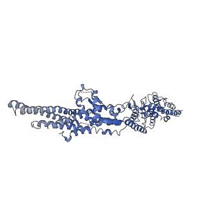 21073_6v6s_H_v1-1
Structure of the native human gamma-tubulin ring complex