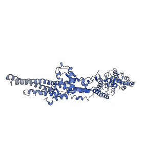 21073_6v6s_H_v1-2
Structure of the native human gamma-tubulin ring complex