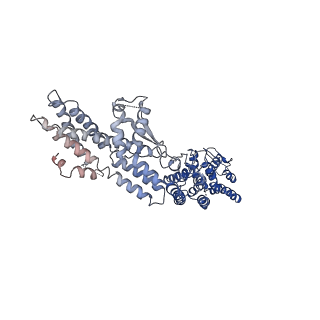 21073_6v6s_I_v1-1
Structure of the native human gamma-tubulin ring complex