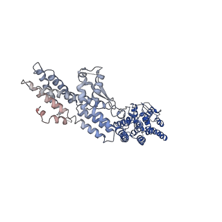 21073_6v6s_I_v1-2
Structure of the native human gamma-tubulin ring complex