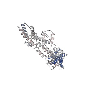21073_6v6s_J_v1-1
Structure of the native human gamma-tubulin ring complex