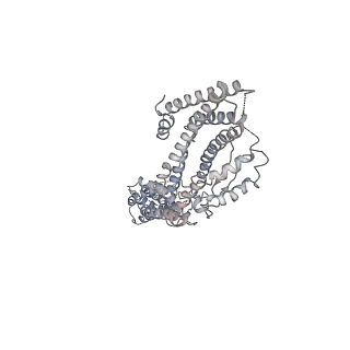 21073_6v6s_L_v1-1
Structure of the native human gamma-tubulin ring complex