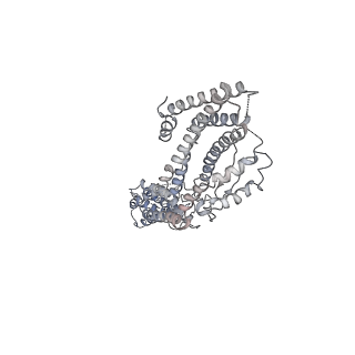 21073_6v6s_L_v1-2
Structure of the native human gamma-tubulin ring complex