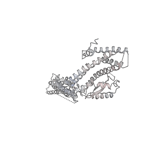 21073_6v6s_M_v1-1
Structure of the native human gamma-tubulin ring complex