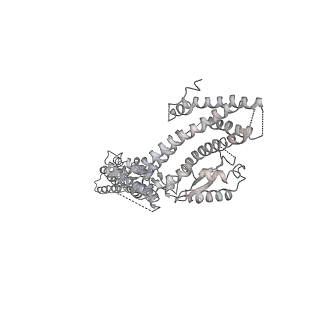 21073_6v6s_M_v1-2
Structure of the native human gamma-tubulin ring complex