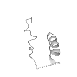 21073_6v6s_N_v1-1
Structure of the native human gamma-tubulin ring complex