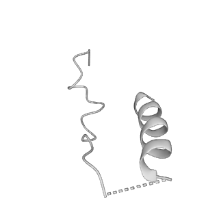 21073_6v6s_N_v1-2
Structure of the native human gamma-tubulin ring complex