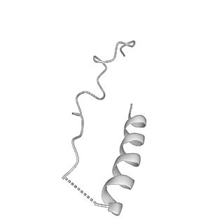21073_6v6s_O_v1-1
Structure of the native human gamma-tubulin ring complex