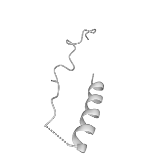 21073_6v6s_O_v1-2
Structure of the native human gamma-tubulin ring complex