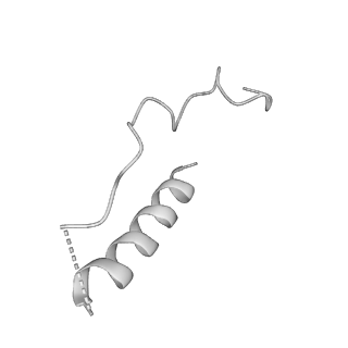 21073_6v6s_Q_v1-2
Structure of the native human gamma-tubulin ring complex