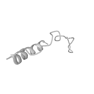 21073_6v6s_R_v1-2
Structure of the native human gamma-tubulin ring complex