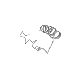 21073_6v6s_S_v1-2
Structure of the native human gamma-tubulin ring complex