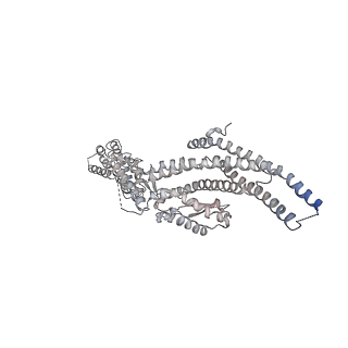 21073_6v6s_T_v1-1
Structure of the native human gamma-tubulin ring complex