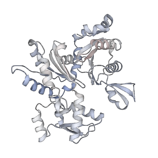 21073_6v6s_U_v1-1
Structure of the native human gamma-tubulin ring complex