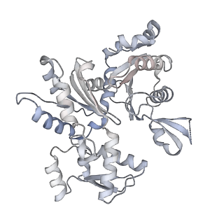 21073_6v6s_U_v1-2
Structure of the native human gamma-tubulin ring complex