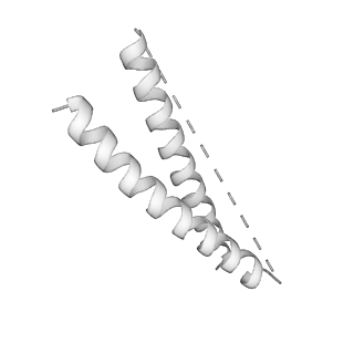 21073_6v6s_V_v1-2
Structure of the native human gamma-tubulin ring complex