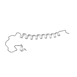 21073_6v6s_Y_v1-2
Structure of the native human gamma-tubulin ring complex