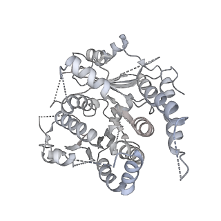 21073_6v6s_a_v1-1
Structure of the native human gamma-tubulin ring complex