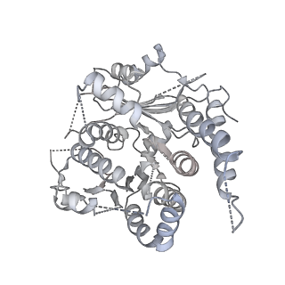 21073_6v6s_a_v1-2
Structure of the native human gamma-tubulin ring complex