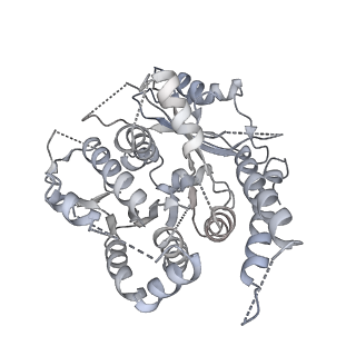 21073_6v6s_b_v1-1
Structure of the native human gamma-tubulin ring complex