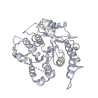 21073_6v6s_b_v1-2
Structure of the native human gamma-tubulin ring complex