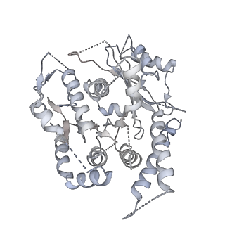 21073_6v6s_c_v1-1
Structure of the native human gamma-tubulin ring complex