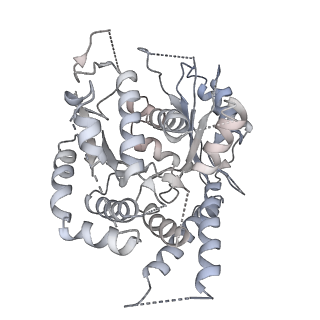 21073_6v6s_d_v1-1
Structure of the native human gamma-tubulin ring complex