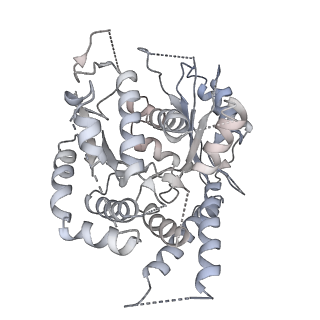 21073_6v6s_d_v1-2
Structure of the native human gamma-tubulin ring complex