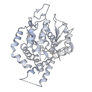 21073_6v6s_e_v1-1
Structure of the native human gamma-tubulin ring complex