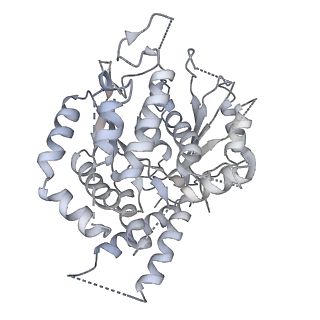 21073_6v6s_e_v1-2
Structure of the native human gamma-tubulin ring complex