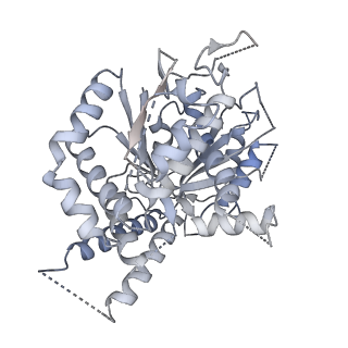 21073_6v6s_f_v1-1
Structure of the native human gamma-tubulin ring complex