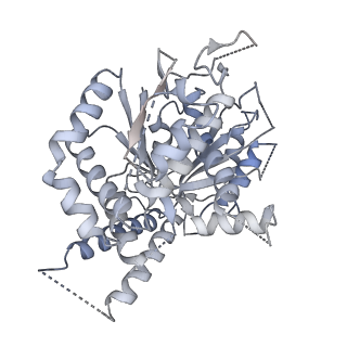 21073_6v6s_f_v1-2
Structure of the native human gamma-tubulin ring complex
