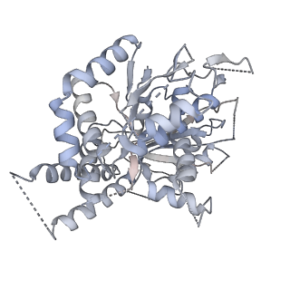 21073_6v6s_g_v1-1
Structure of the native human gamma-tubulin ring complex