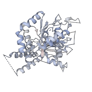 21073_6v6s_g_v1-2
Structure of the native human gamma-tubulin ring complex