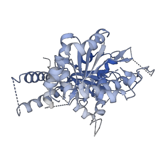 21073_6v6s_h_v1-1
Structure of the native human gamma-tubulin ring complex