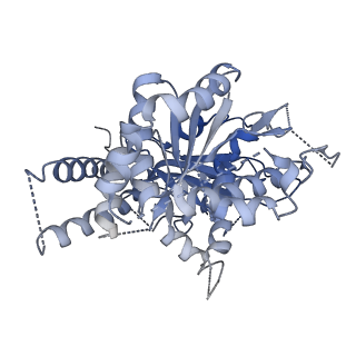 21073_6v6s_h_v1-2
Structure of the native human gamma-tubulin ring complex