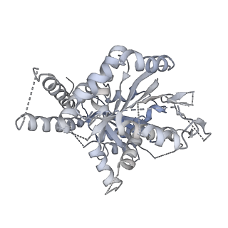 21073_6v6s_i_v1-1
Structure of the native human gamma-tubulin ring complex