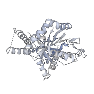 21073_6v6s_i_v1-2
Structure of the native human gamma-tubulin ring complex