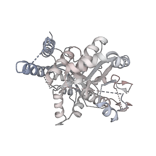 21073_6v6s_j_v1-1
Structure of the native human gamma-tubulin ring complex