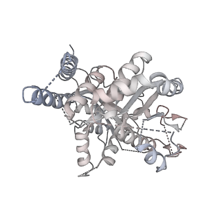 21073_6v6s_j_v1-2
Structure of the native human gamma-tubulin ring complex