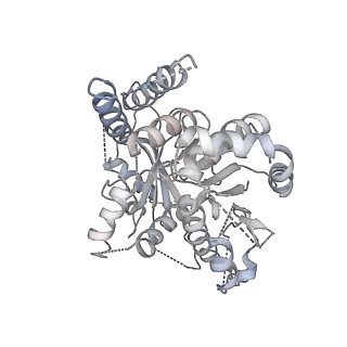 21073_6v6s_k_v1-1
Structure of the native human gamma-tubulin ring complex