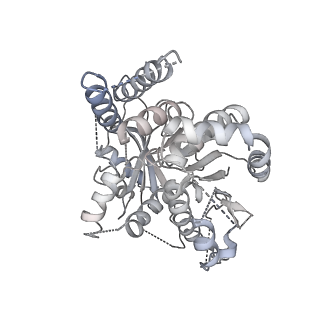 21073_6v6s_k_v1-2
Structure of the native human gamma-tubulin ring complex