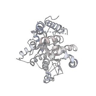 21073_6v6s_l_v1-1
Structure of the native human gamma-tubulin ring complex