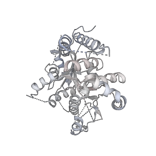 21073_6v6s_l_v1-2
Structure of the native human gamma-tubulin ring complex