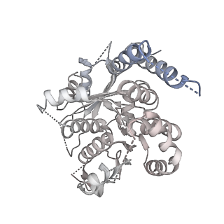 21073_6v6s_m_v1-1
Structure of the native human gamma-tubulin ring complex