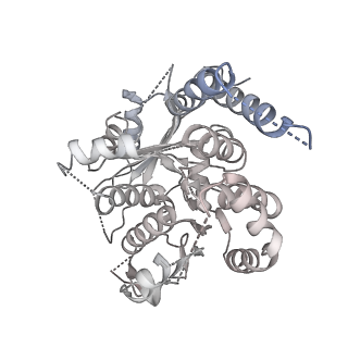 21073_6v6s_m_v1-2
Structure of the native human gamma-tubulin ring complex