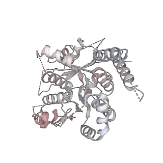 21073_6v6s_t_v1-1
Structure of the native human gamma-tubulin ring complex