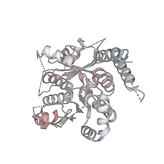 21073_6v6s_t_v1-2
Structure of the native human gamma-tubulin ring complex
